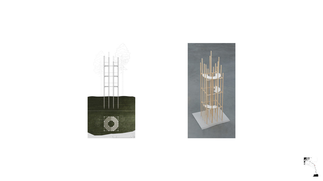 Section and plan. Model.