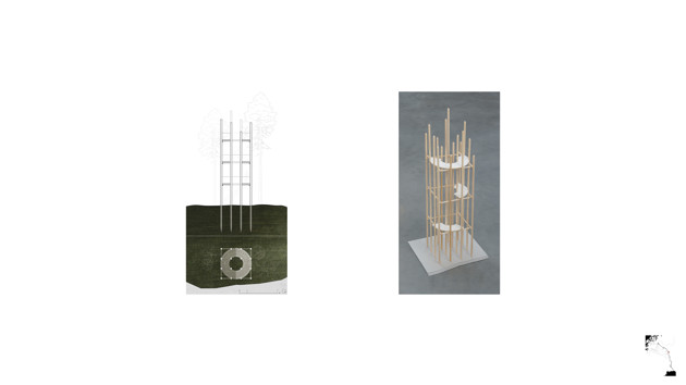 Section and plan. Model.