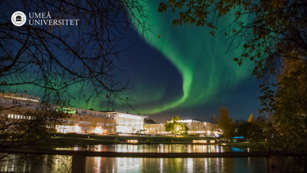 Norrsken på Umeå universitet campus