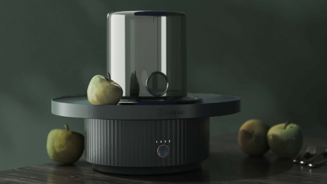 APD Electrolux Project 2020