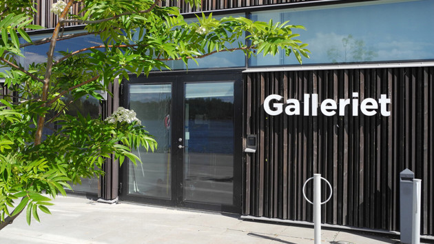 The entrance of the Gallery of Umeå Academy of Fine Arts with flowering rowan in the foreground.