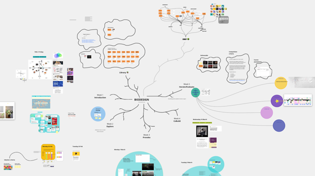 Remote Education Biodesign