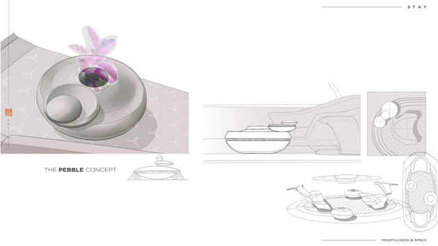 The Pebble concept Seung-Hoon Yoo